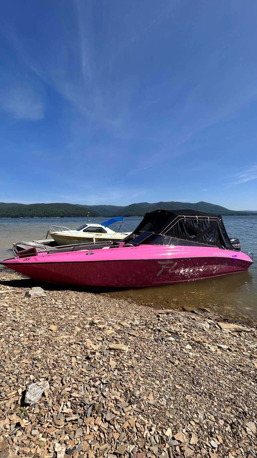 Фламинго на Красноярском море